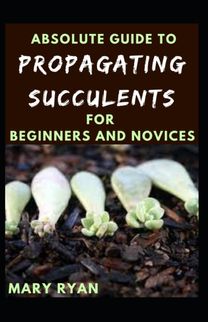 Absolute Guide to Propagating Succulents for Beginners and Novices