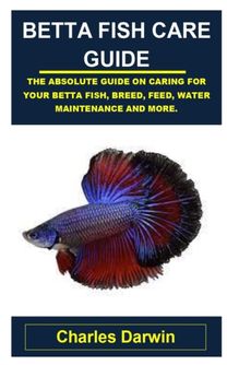 Betta Fish Care Guide