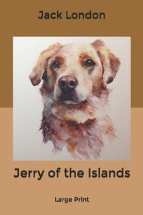 Jerry of the Islands