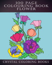 100 Page Colouring Book