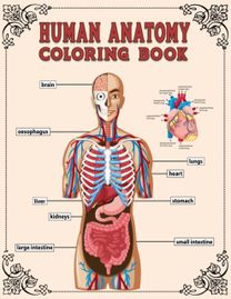 Human Anatomy Coloring Book