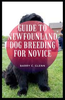 Guide to Newfoundland Dog Breeding for Novice