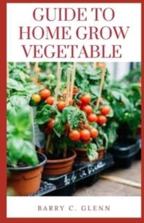 Guide to Home Grow Vegetable