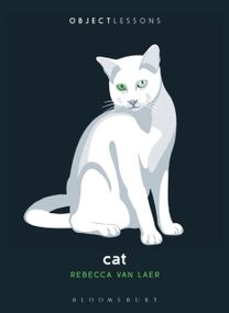 Cat Cat