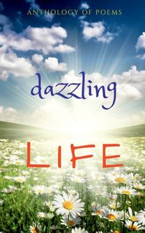 Dazzling Life Dazzling Life