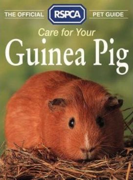Official RSPCA Pet Guide - Care for your Guinea Pig