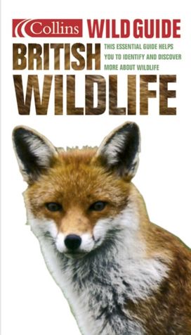 Collins Wild Guide - British Wildlife Collins Wild Guide - British Wildlife