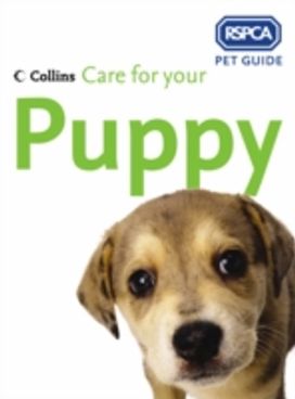Care for Your Puppy