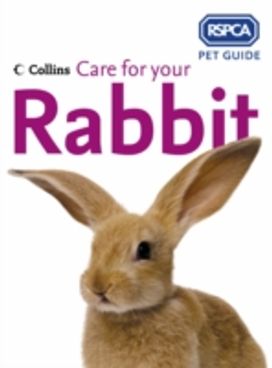 Care for Your Rabbit Care for Your Rabbit