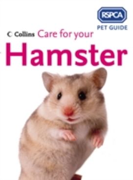Care for Your Hamster