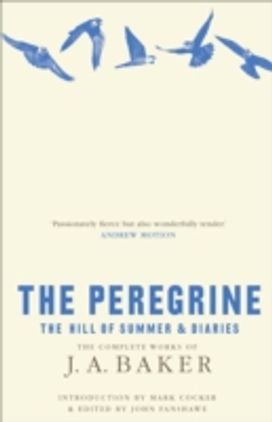 The Peregrine