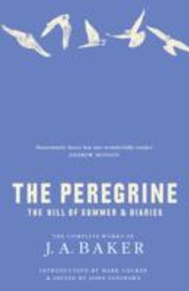 The Peregrine The Peregrine