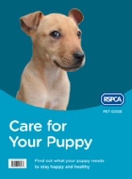 Care for Your Puppy Care for Your Puppy