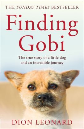 Finding Gobi (Main Edition) Finding Gobi (Main Edition)