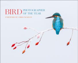 Bird Photographer of the Year