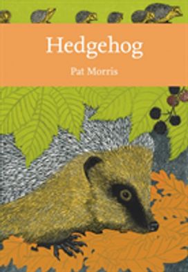 Hedgehog Hedgehog