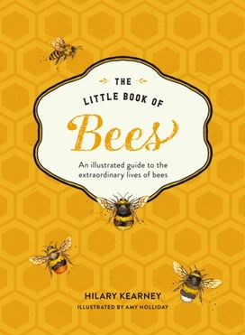 Little Book of Bees Little Book of Bees
