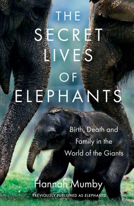 Elephants