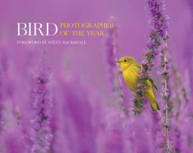 Bird Photographer of the Year Bird Photographer of the Year