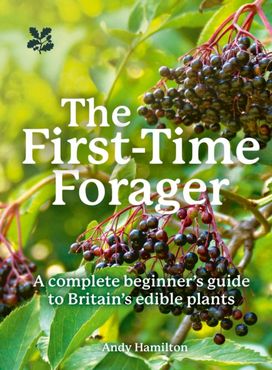 First-Time Forager First-Time Forager