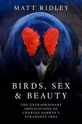 Birds, Sex and Beauty Birds, Sex and Beauty