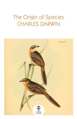 Origin of Species