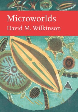 Microworlds Microworlds