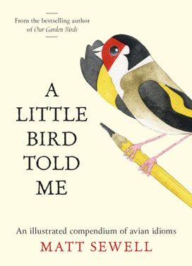 Little Bird Told Me Little Bird Told Me