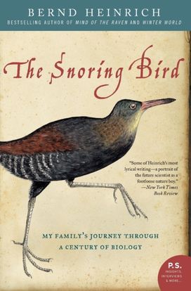 Snoring Bird Snoring Bird
