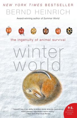 Winter World Winter World
