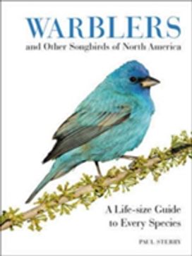 Warblers and Other Songbirds of North America