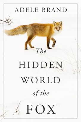Hidden World of the Fox Hidden World of the Fox