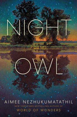 Night Owl Night Owl