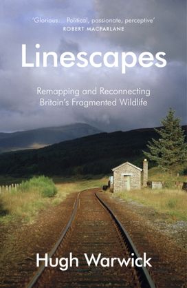 Linescapes Linescapes