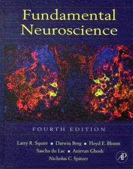 Fundamental Neuroscience Fundamental Neuroscience