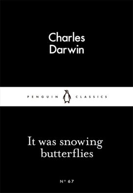 It was Snowing Butterflies It was Snowing Butterflies