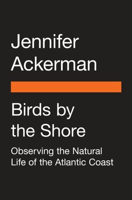 Birds by the Shore