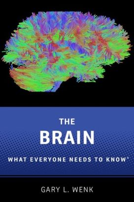 Brain Brain