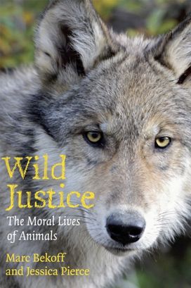 Wild Justice Wild Justice