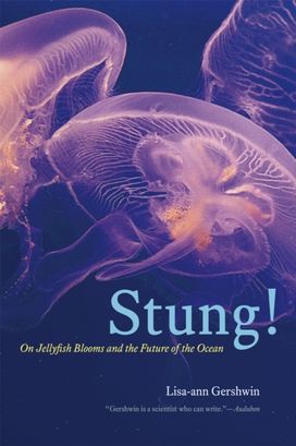 Stung! Stung!