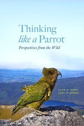 Thinking Like a Parrot Thinking Like a Parrot