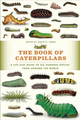 Book of Caterpillars