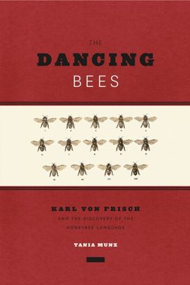 Dancing Bees