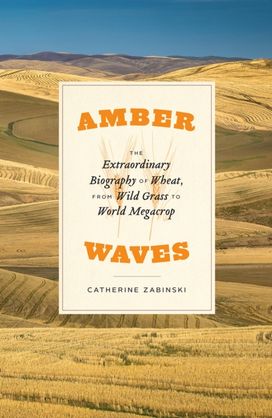 Amber Waves Amber Waves