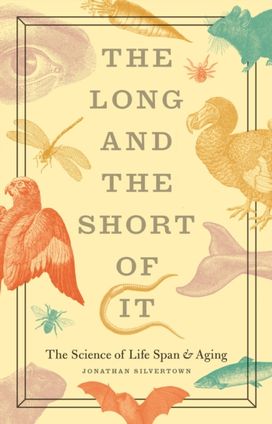 Long and the Short of It
