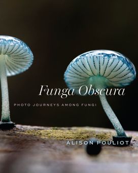 Funga Obscura Funga Obscura