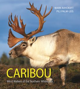 Caribou Caribou
