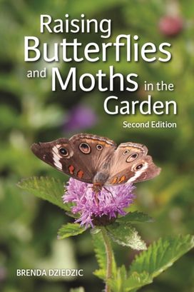 Raising Butterflies and Moths in the Garden Raising Butterflies and Moths in the Garden