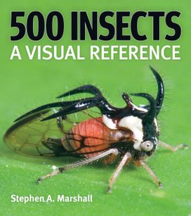 500 Insects: A Visual Reference 500 Insects: A Visual Reference