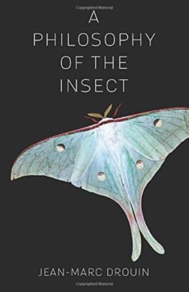Philosophy of the Insect Philosophy of the Insect